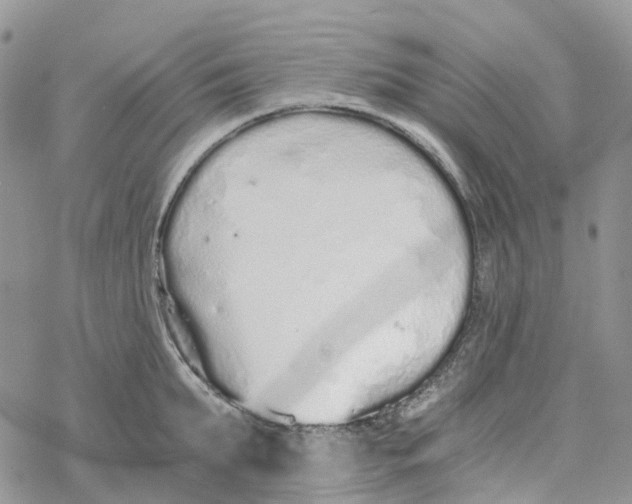 X0000078260903200611251325