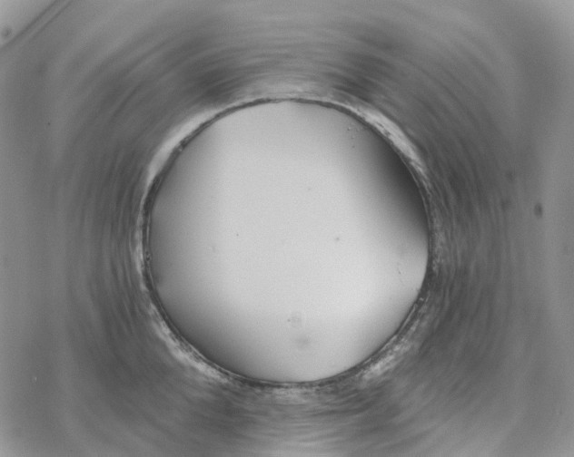 X0000078260904200611251325