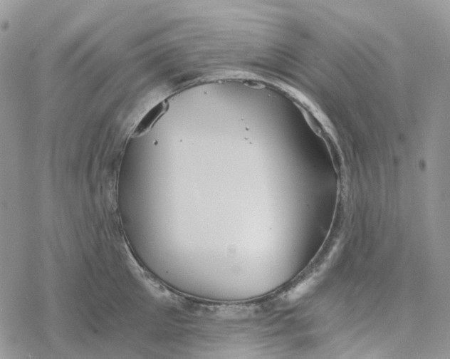 X0000078260905200611251325