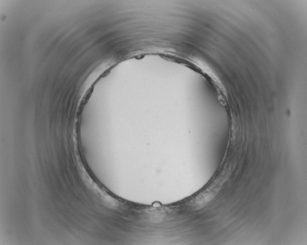 X0000078260906200611251325