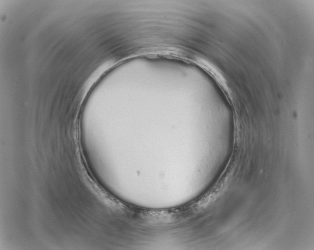 X0000078260907200611251325