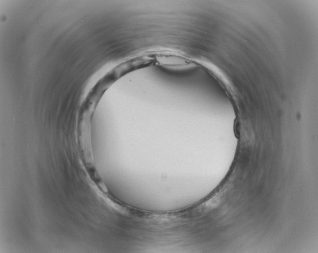 X0000078260910200611251325