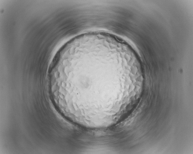 X0000078260911200611251325