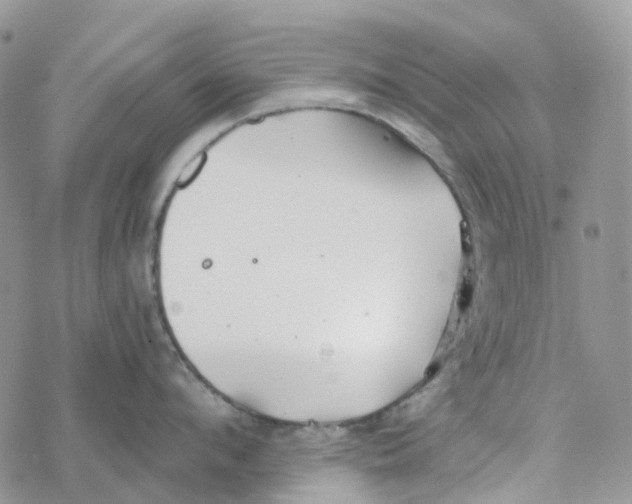 X0000078260912200611251325