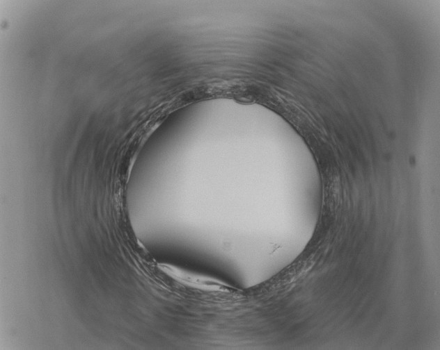 X0000078260914200611251325