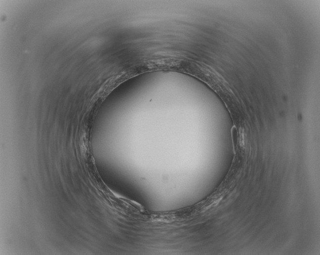 X0000078260915200611251325