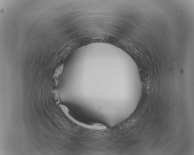 X0000078260916200611251325