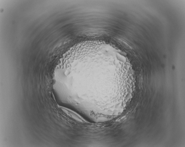 X0000078260917200611251325