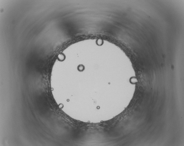 X0000078260918200611251325