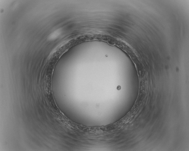 X0000078260919200611251325