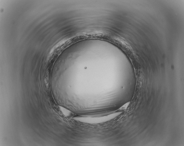 X0000078260920200611251325