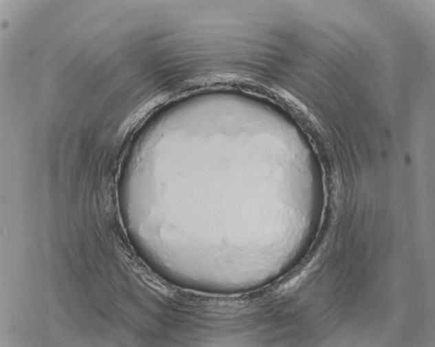 X0000078260921200611251325