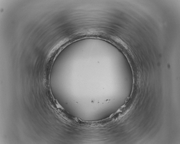 X0000078260922200611251325