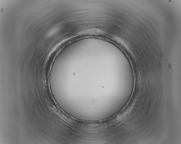 X0000078260923200611251325