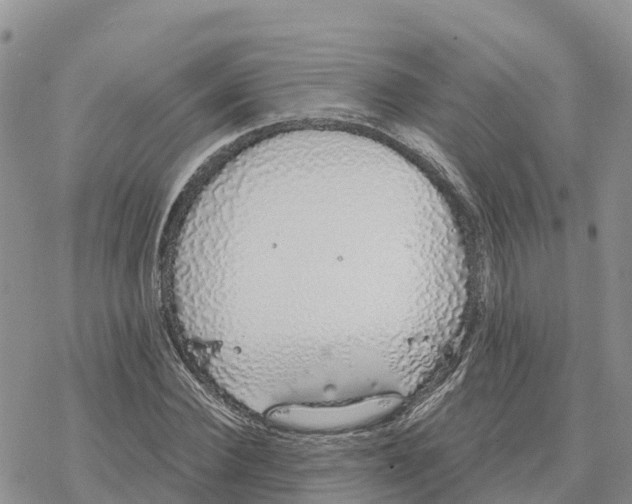 X0000078260924200611251325