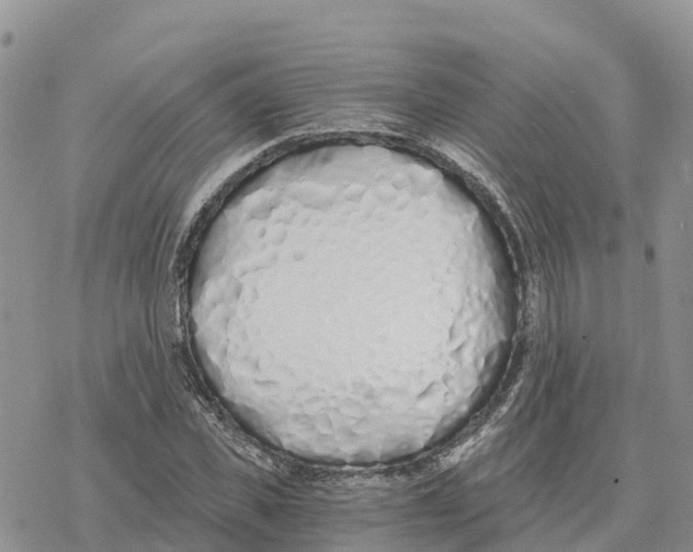 X0000078260925200611251325