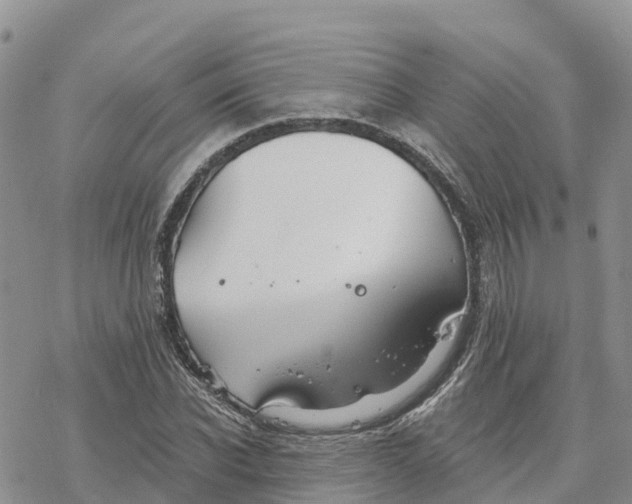 X0000078260926200611251325