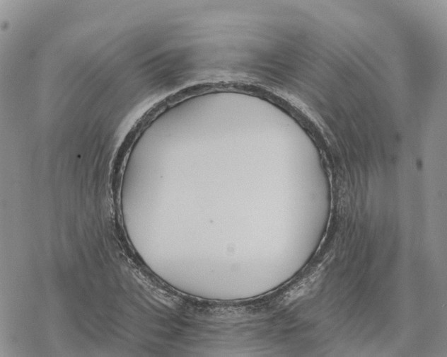 X0000078260927200611251325