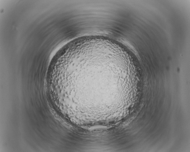 X0000078260928200611251325