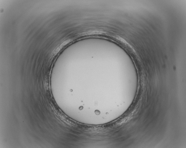 X0000078260929200611251325