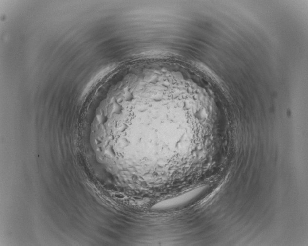 X0000078260930200611251325