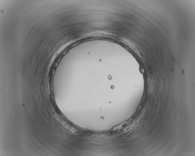 X0000078260931200611251325