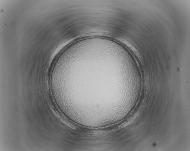 X0000078260933200611251325