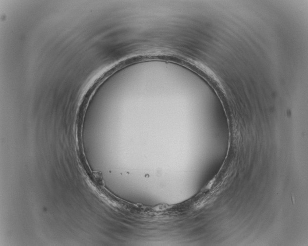 X0000078260935200611251325