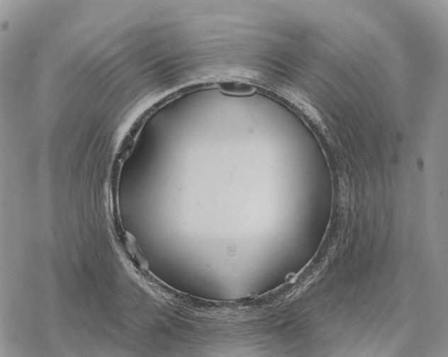 X0000078260936200611251325