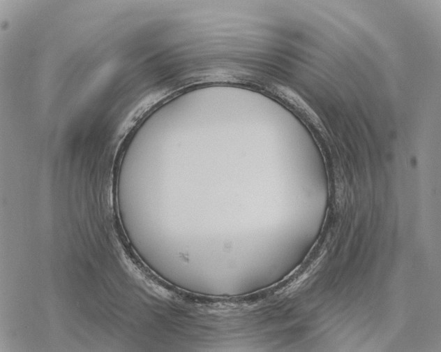 X0000078260938200611251325