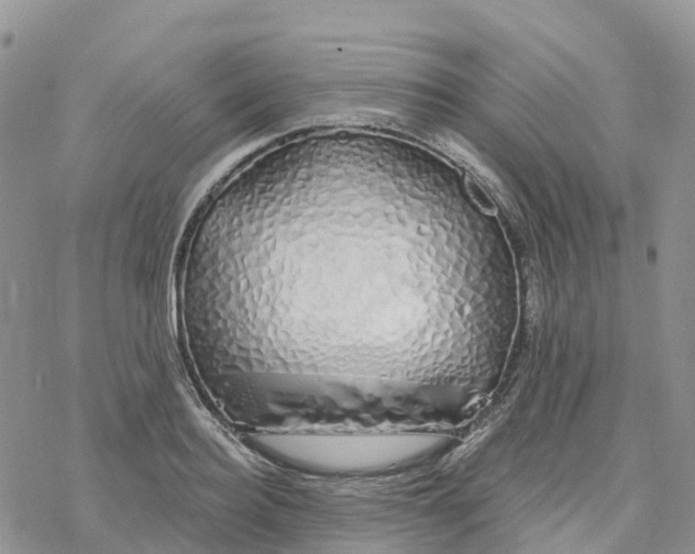 X0000078260940200611251325