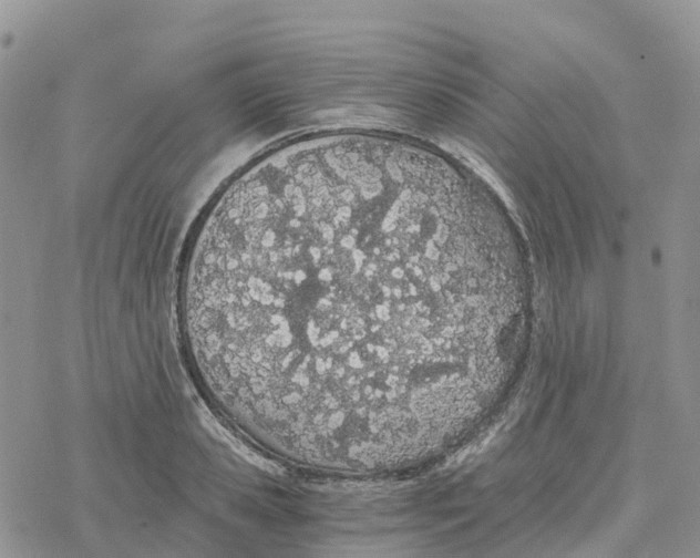 X0000078260941200611251325