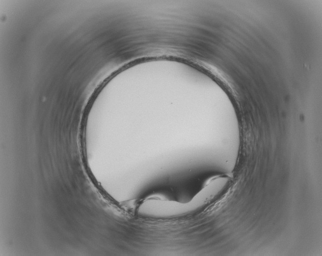 X0000078260943200611251325