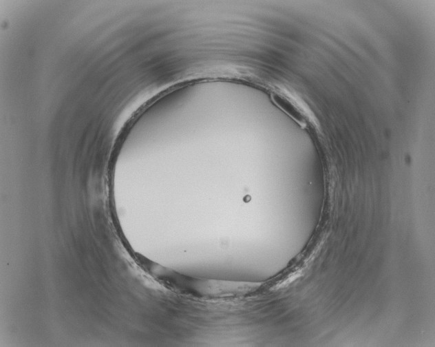 X0000078260944200611251325