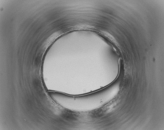 X0000078260946200611251325