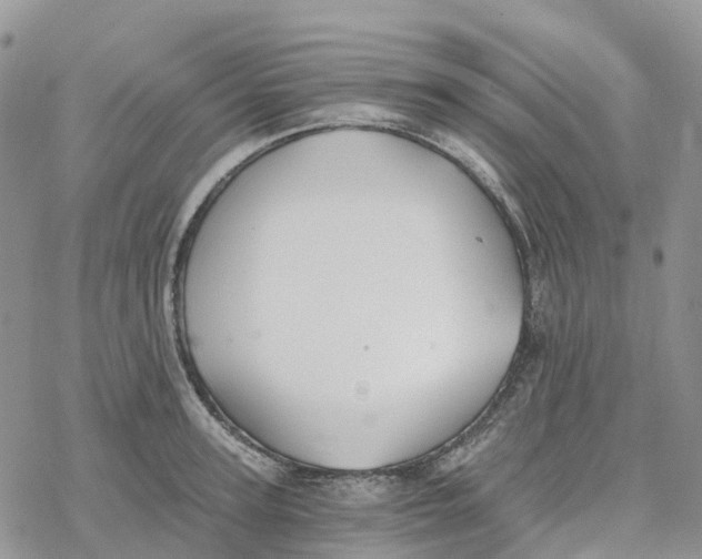 X0000078260947200611251325