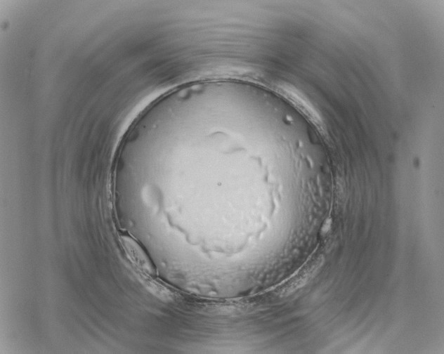 X0000078260948200611251325