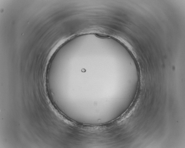 X0000078260949200611251325