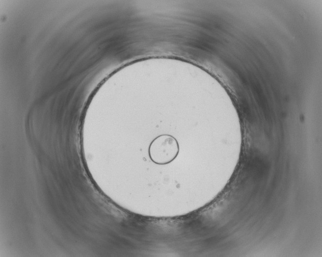 X0000078260950200611251325