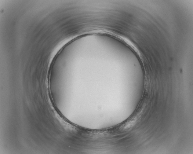 X0000078260951200611251325