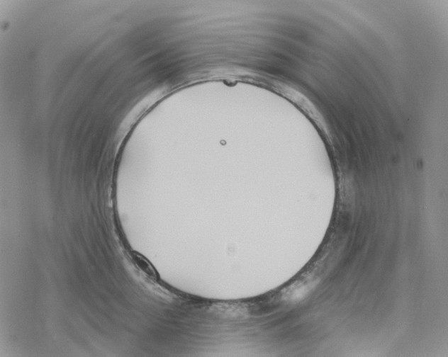 X0000078260954200611251325