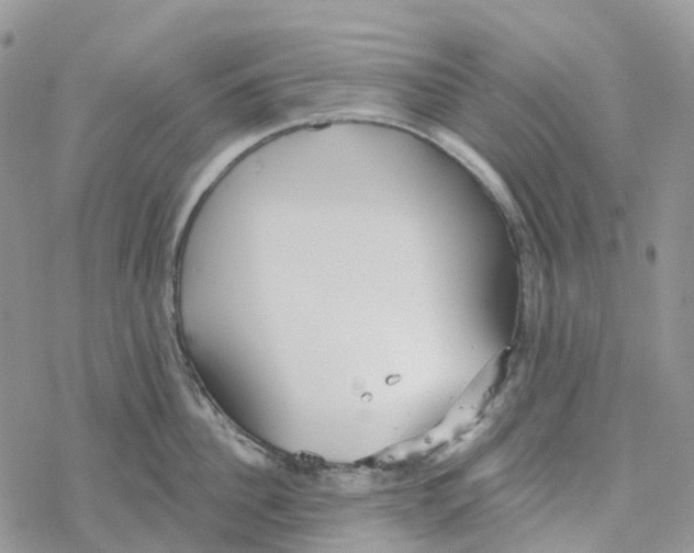 X0000078260956200611251325