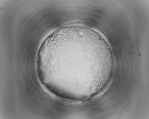 X0000078260957200611251325