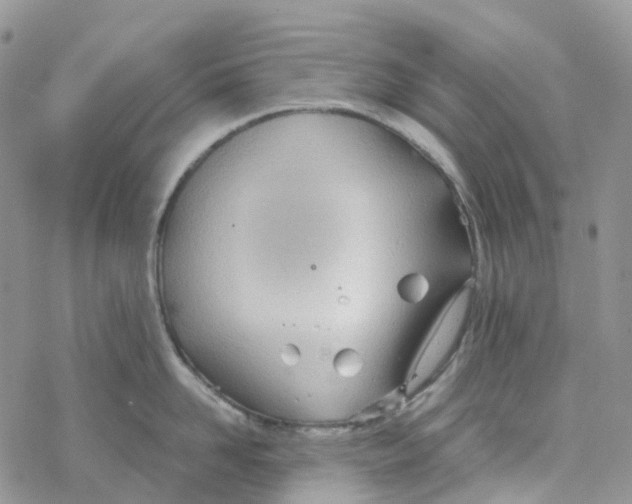 X0000078260958200611251325