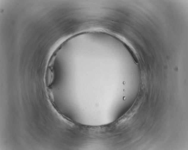 X0000078260959200611251325