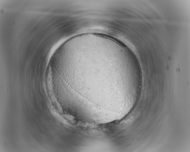 X0000078260960200611251325