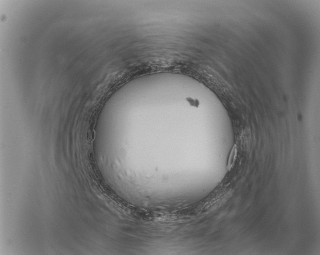 X0000078260961200611251324