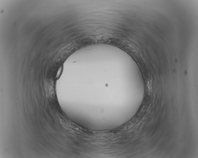 X0000078260963200611251324