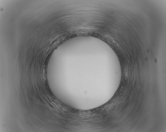 X0000078260964200611251324