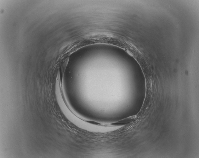 X0000078260965200611251324